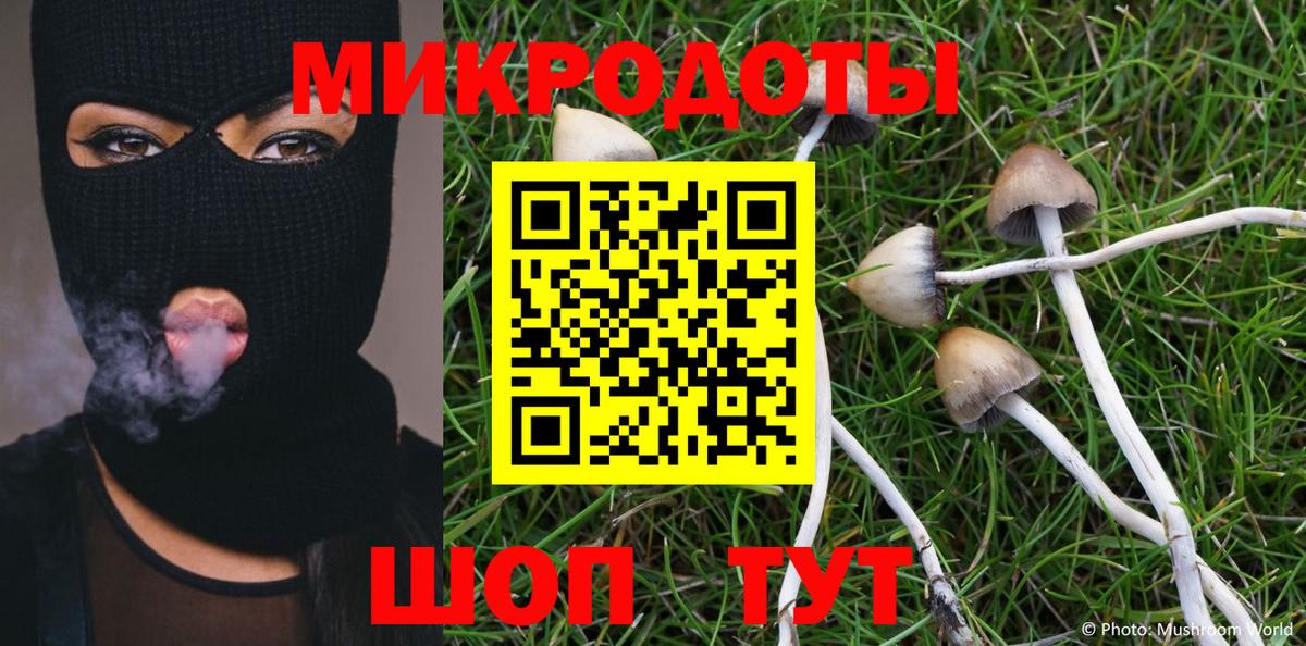 Псилоцибиновые грибы Cubensis Красноярск